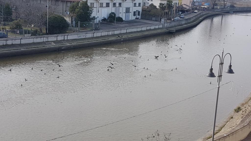 Palazzo Spada - Attico Con Terrazza Vista Fiume In Centro كوديجورو المظهر الخارجي الصورة
